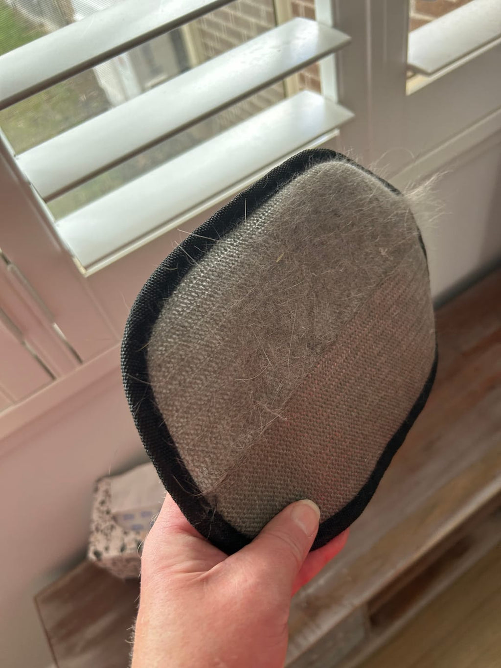The Grooming Glove
