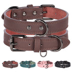 Genuine Leather Dog Collar - Carbon
