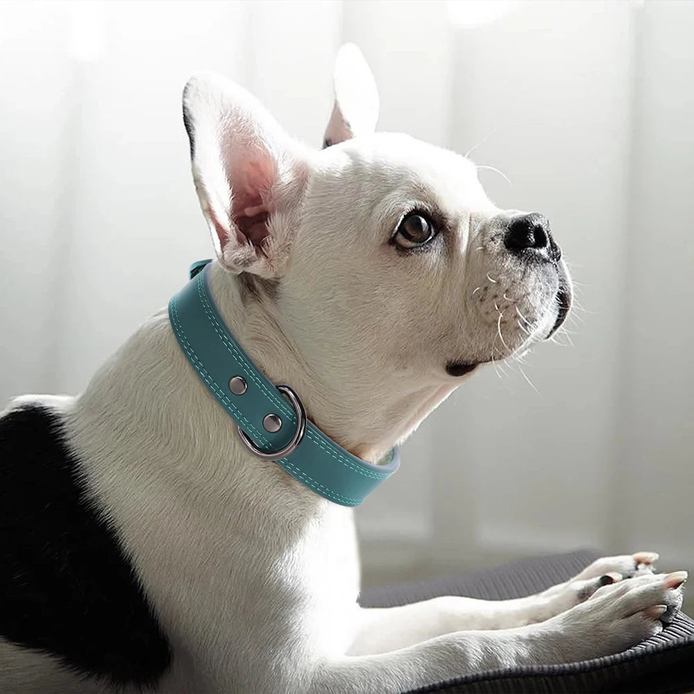 Genuine Leather Dog Collar - buckle detail