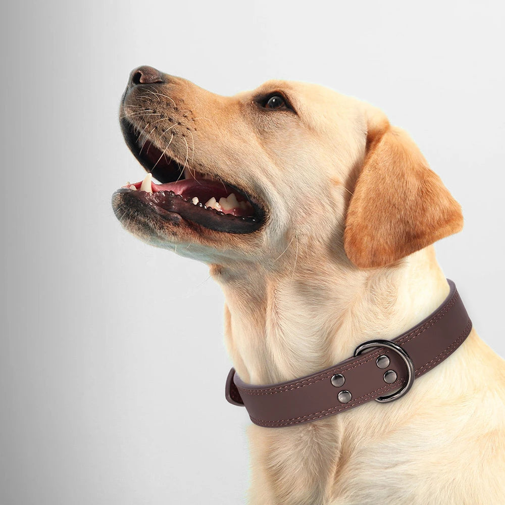 Genuine Leather Dog Collar - Mocha