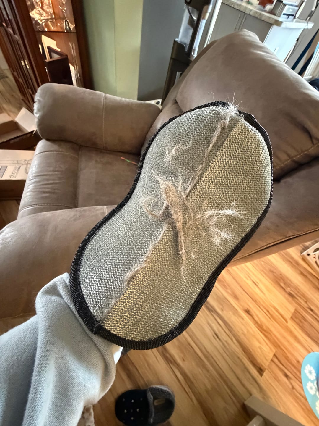 The Grooming Glove