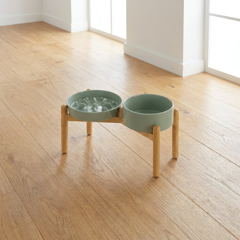 Ceramic Slow Feeder Bowl