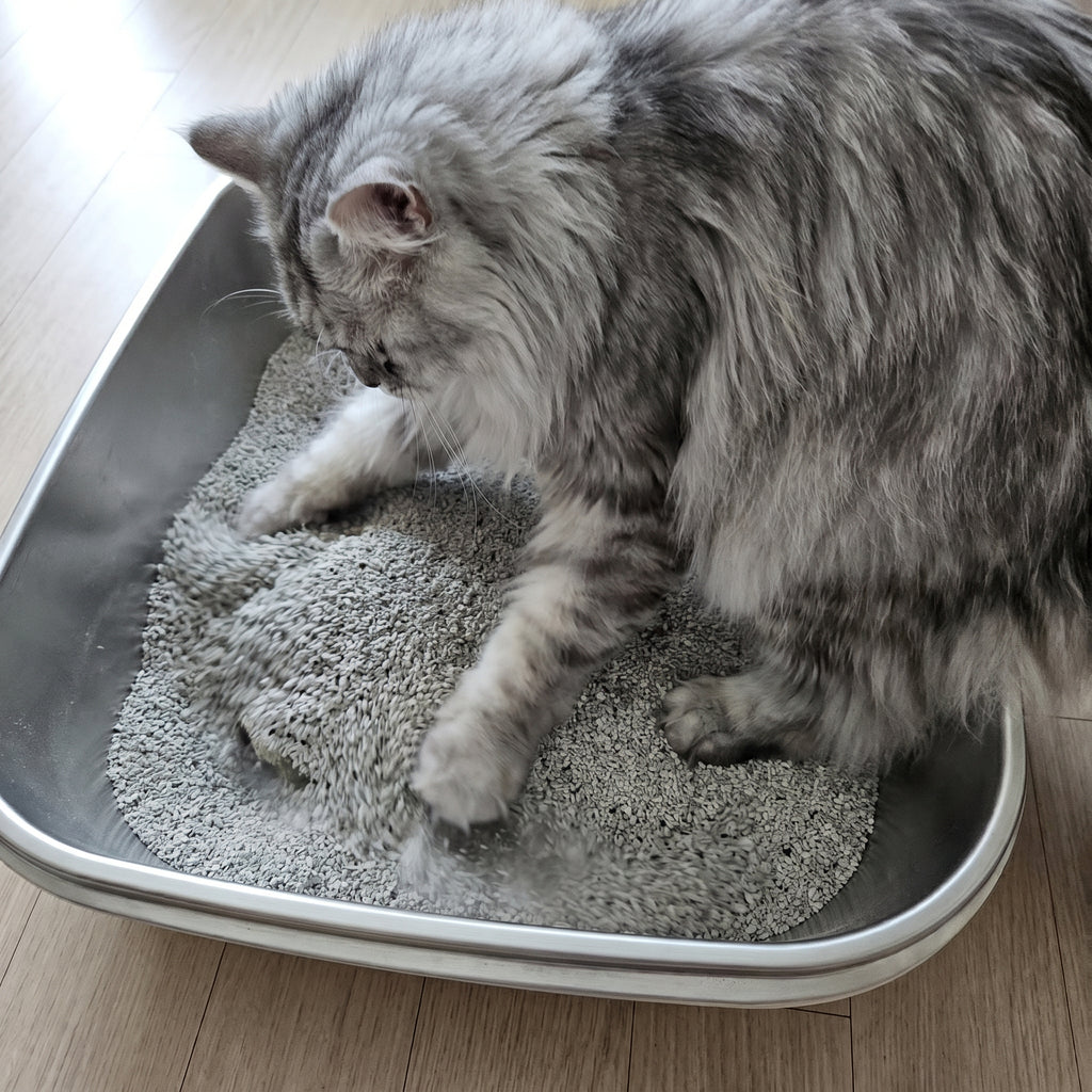 Stainless Steel Litter Box