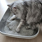 Stainless Steel Litter Box