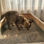 Stainless Steel Litter Box