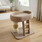 Cat Climbing Tower