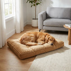 Comfy Snooze Square