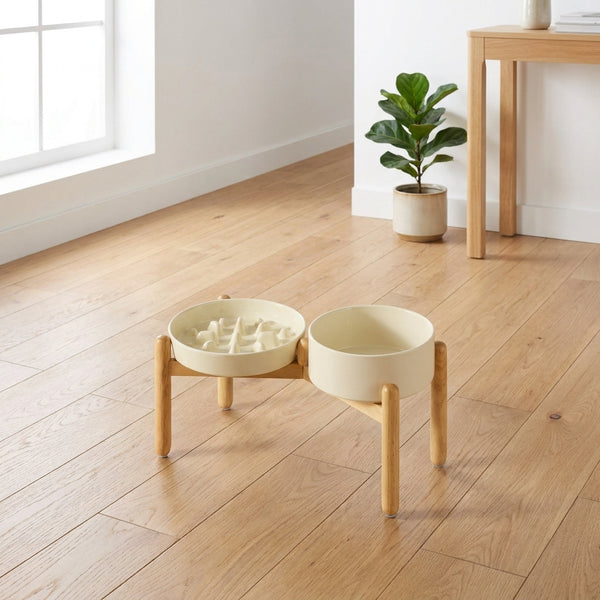 Ceramic Slow Feeder Bowl